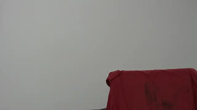 Rocky Muscle online show from February 5, 2026, 4:50 am