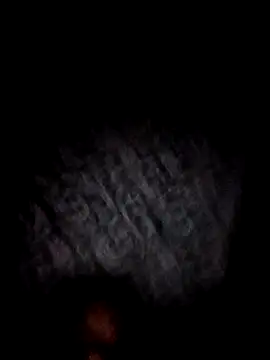 bajoderx585Oregano online show from November 17, 2025, 8:25 pm