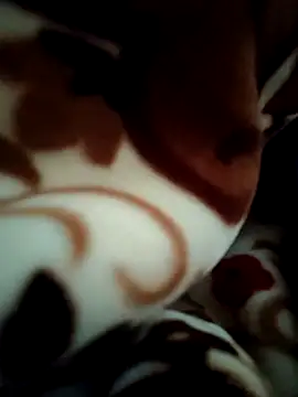 Snapshot of Hot_pooja55 chatting on February 11, 2026, 6:51 am Hot pooja55 online show from February 11, 2026, 6:51 am