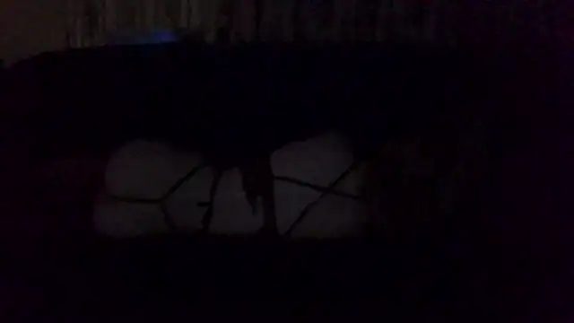 Snapshot of Rupoles chatting on November 1, 2025, 1:13 pm Rupoles online show from November 1, 2025, 1:13 pm