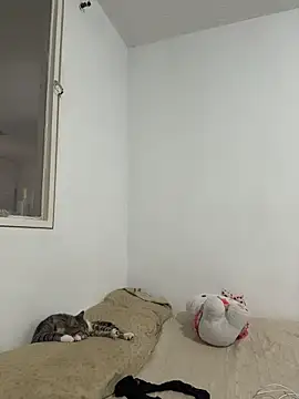 Snapshot of aliciia_23 chatting on November 28, 2025, 8:11 pm aliciia 23 online show from November 28, 2025, 8:11 pm