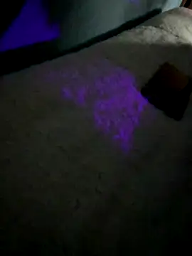 disvla online show from November 22, 2025, 5:17 am