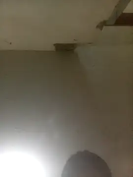 Snapshot of Bebicho14 chatting on April 4, 2026, 5:49 am Bebicho14 online show from April 4, 2026, 5:49 am