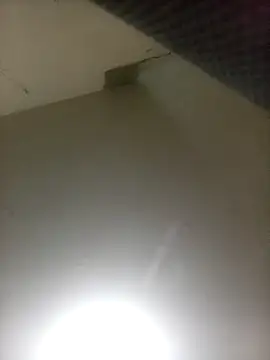 Snapshot of Bebicho14 chatting on April 7, 2026, 2:56 am Bebicho14 online show from April 7, 2026, 2:56 am