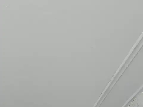 paull george online show from November 28, 2025, 5:48 pm