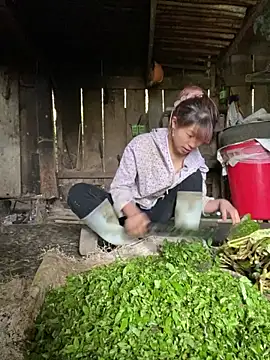 Mai bb online show from November 6, 2025, 7:42 am