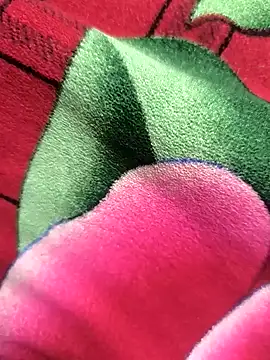 Family02 online show from November 26, 2025, 4:41 pm