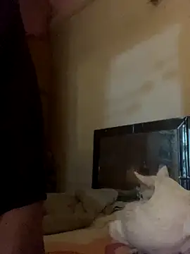 Kajal-Shemale69 online show from November 17, 2025, 7:36 am