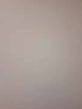 Mr nightfall online show from November 13, 2025, 2:32 am