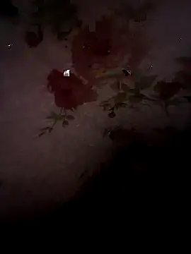 Snapshot of SummerArthur chatting on September 30, 2025, 9:09 pm SummerArthur online show from September 30, 2025, 9:09 pm