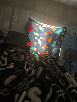 Snapshot of FromVnz chatting on November 15, 2025, 12:45 pm FromVnz online show from November 15, 2025, 12:45 pm