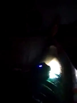 D22Ad online show from December 20, 2025, 3:57 am