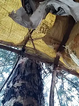 Snapshot of Janvi_Jaitly chatting on November 23, 2025, 1:16 am Janvi Jaitly online show from November 23, 2025, 1:16 am