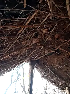 Snapshot of Janvi_Jaitly chatting on December 5, 2025, 1:25 am Janvi Jaitly online show from December 5, 2025, 1:25 am