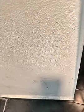 Snapshot of penchis90 chatting on December 14, 2025, 2:22 pm penchis90 online show from December 14, 2025, 2:22 pm