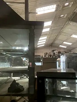 True Di online show from December 14, 2025, 11:15 am