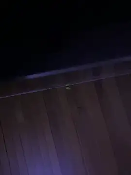 XBODTRIIPX online show from April 7, 2026, 11:15 pm