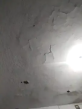 Snapshot of Ferxxxo1503 chatting on November 8, 2025, 7:41 am Ferxxxo1503 online show from November 8, 2025, 7:41 am