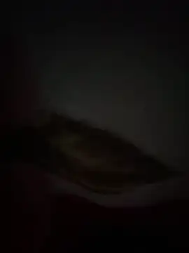 Snapshot of Flash356 chatting on February 24, 2026, 9:13 pm Flash356 online show from February 24, 2026, 9:13 pm