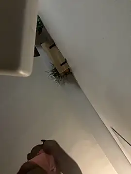 littyleesh1 online show from April 14, 2026, 4:29 am