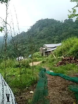 keobong-00 online show from September 14, 2025, 2:44 am