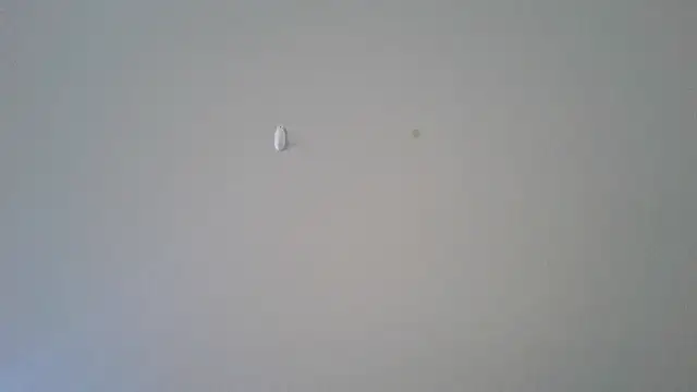 Snapshot of abimusic99 chatting on February 25, 2026, 7:45 pm abimusic99 online show from February 25, 2026, 7:45 pm