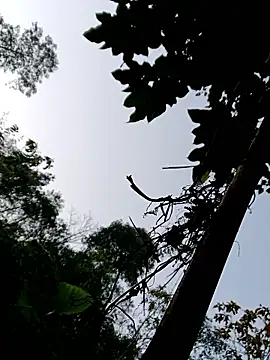 Snapshot of kemtuoi-sex chatting on January 11, 2026, 11:54 pm kemtuoi-sex online show from January 11, 2026, 11:54 pm