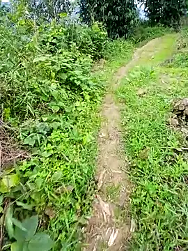 kemtuoi-sex online show from June 7, 2026, 3:21 am