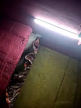 Suman ji1 online show from January 11, 2026, 12:15 am