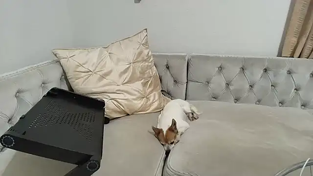 Snapshot of BarbieKarly chatting on December 1, 2025, 1:21 am BarbieKarly online show from December 1, 2025, 1:21 am