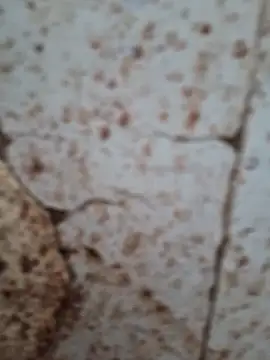 Snapshot of goodzx2 chatting on September 16, 2025, 12:50 pm goodzx2 online show from September 16, 2025, 12:50 pm