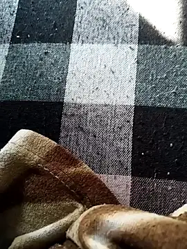 bold guy 1234 online show from November 24, 2025, 4:56 am