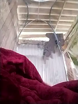 Snapshot of Emmyly_123 chatting on January 7, 2026, 3:31 am Emmyly 123 online show from January 7, 2026, 3:31 am