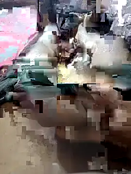 Snapshot of UnbowedAgronomy chatting on February 14, 2026, 10:50 pm UnbowedAgronomy online show from February 14, 2026, 10:50 pm