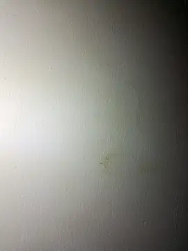 Snapshot of BigD_Mikee chatting on December 17, 2025, 4:46 pm BigD Mikee online show from December 17, 2025, 4:46 pm