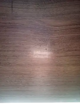 Snapshot of ValeriaLove43211 chatting on December 17, 2025, 7:36 am ValeriaLove43211 online show from December 17, 2025, 7:36 am