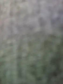 Snapshot of JeffersonRay chatting on January 7, 2026, 1:52 am JeffersonRay online show from January 7, 2026, 1:52 am