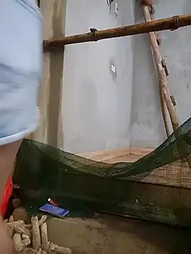 phuongxinhxan online show from March 22, 2026, 12:25 am