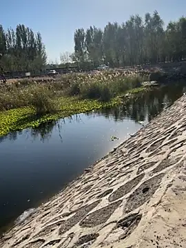 Tang-88 online show from October 26, 2025, 6:52 am