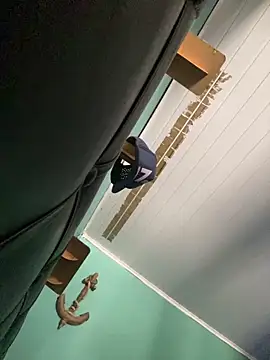 Snapshot of Ayla_wiens chatting on December 16, 2025, 2:33 pm Ayla wiens online show from December 16, 2025, 2:33 pm