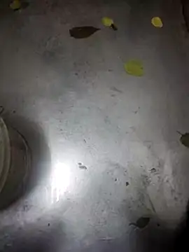 Snapshot of telugumodda4396 chatting on November 13, 2025, 9:30 am telugumodda4396 online show from November 13, 2025, 9:30 am