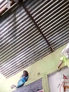 Haliya88 online show from March 24, 2026, 6:51 am