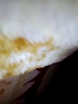 alone boy802 online show from October 6, 2025, 4:15 pm