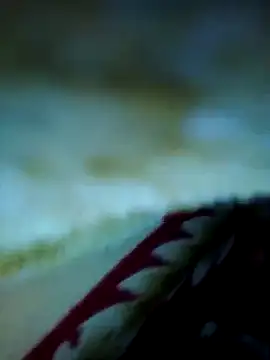 alone boy802 online show from November 13, 2025, 3:38 am