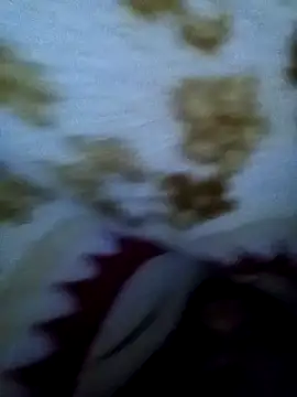 alone boy802 online show from November 22, 2025, 3:49 am