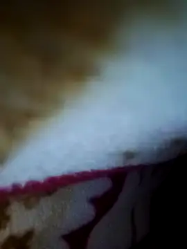 alone boy802 online show from November 26, 2025, 2:34 am