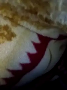 alone boy802 online show from December 19, 2025, 10:17 pm