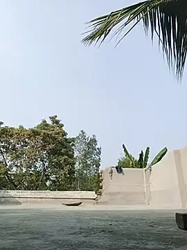 reya743 online show from February 3, 2026, 9:47 am