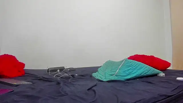 Snapshot of big_bearr chatting on February 4, 2026, 3:01 am big bearr online show from February 4, 2026, 3:01 am