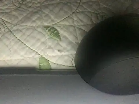 paula19800 online show from October 3, 2025, 10:34 am